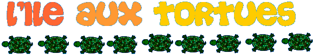 l'ile aux tortues